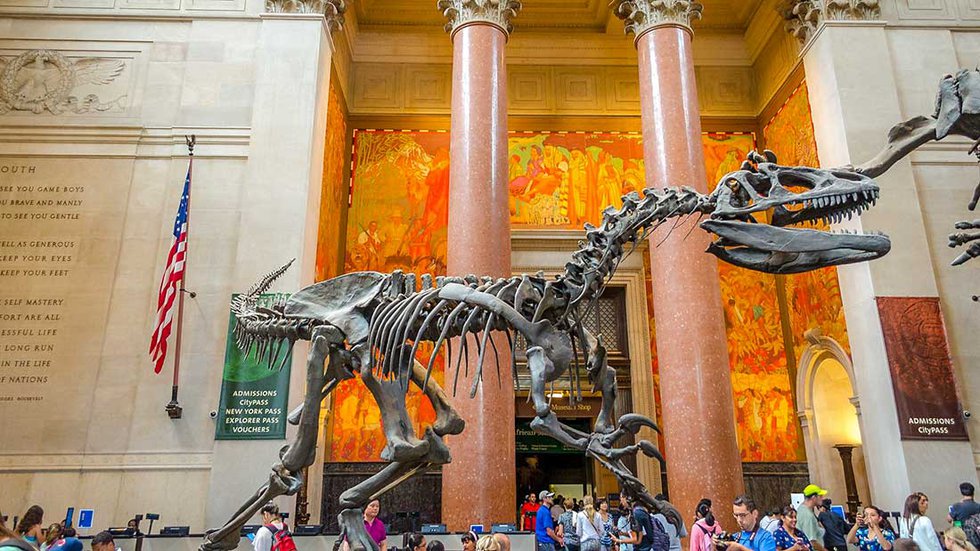 Dinosaur at the American Museum of Natural History