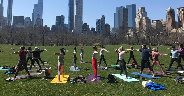 Central Park Yoga Classes