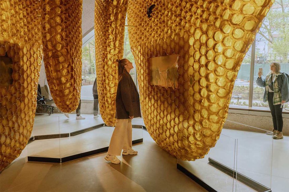 Beehive at the Gilder Center