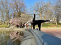 cherry-blossom-yoga-central-park.JPG