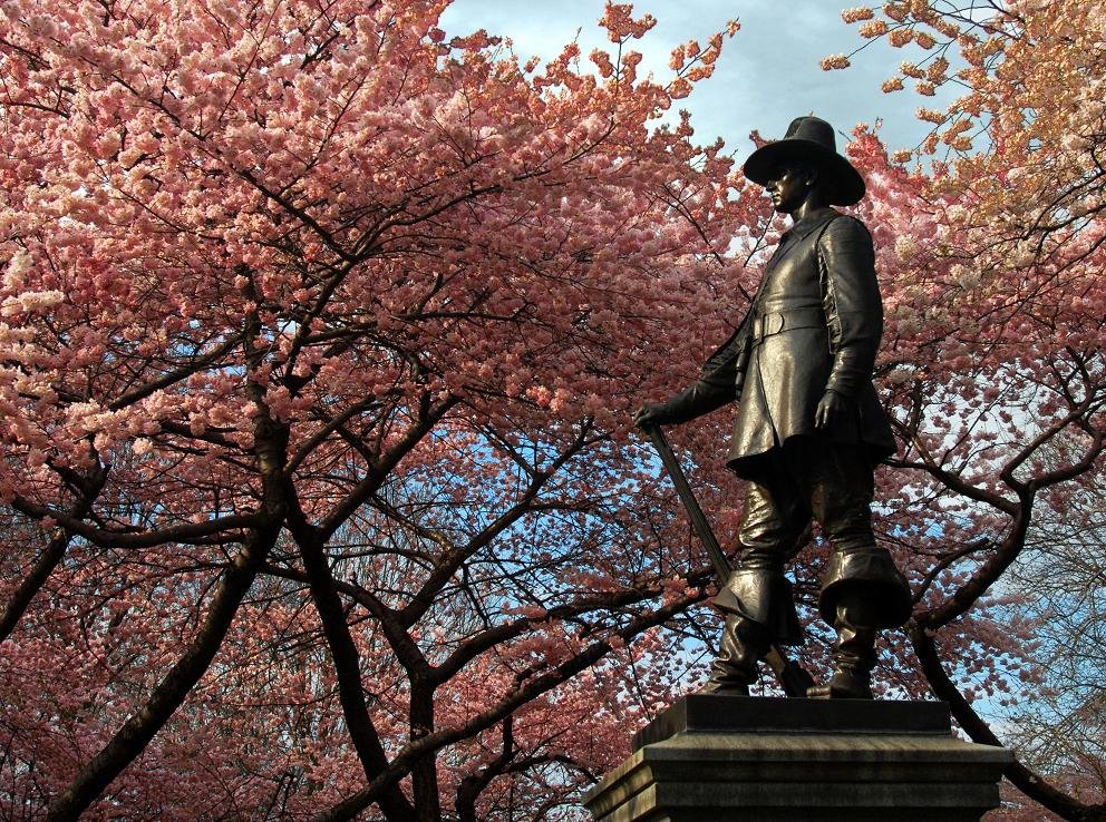 Photo entry: Spring Has Sprung!!