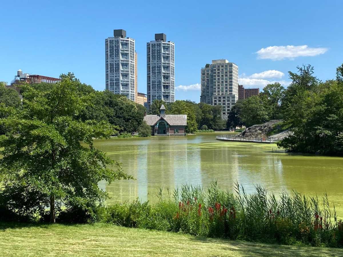 Harlem Meer - Central Park