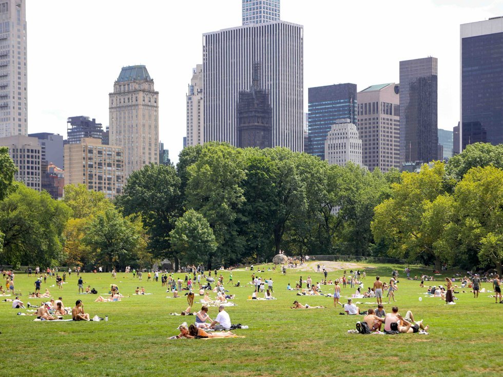 a summer day at the sheep meadow