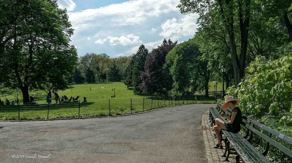 Women sitting on a park bench with trees, lawns, and a pathway in the background