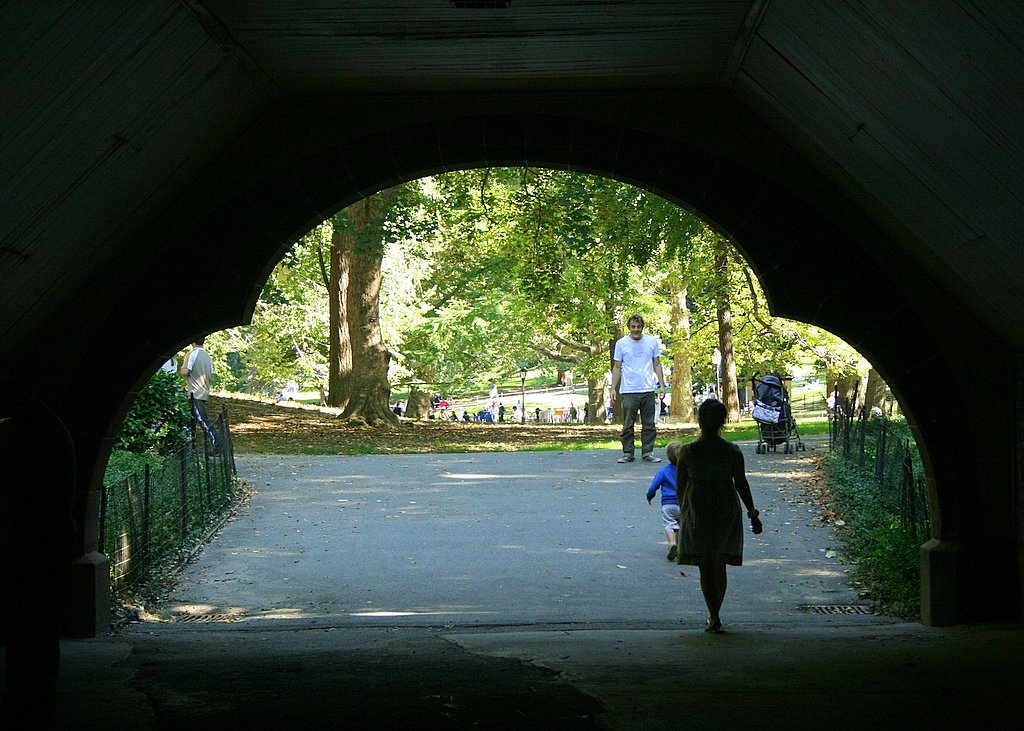 Photo entry: Gate into summer