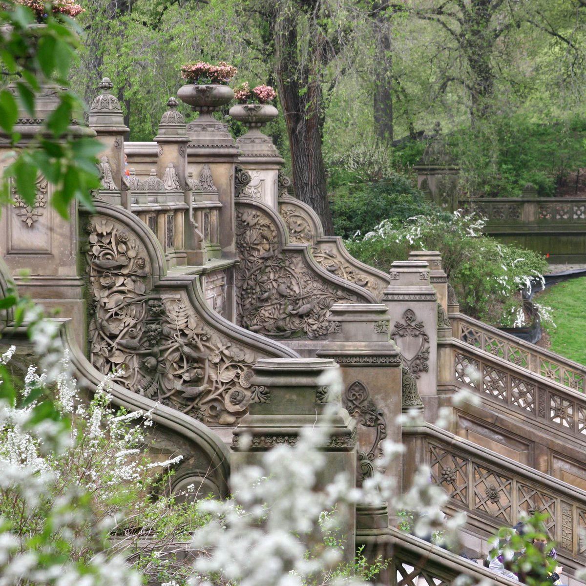 Photo entry: Spring in the Steps