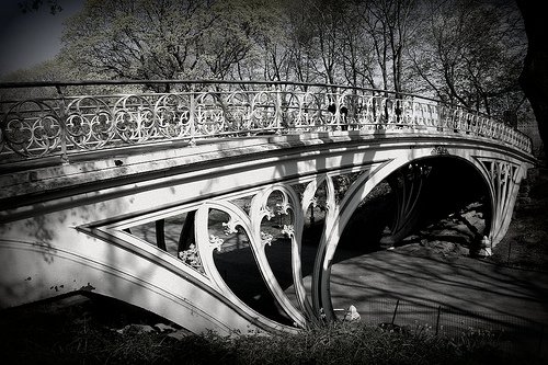 The Bridges of Central Park
