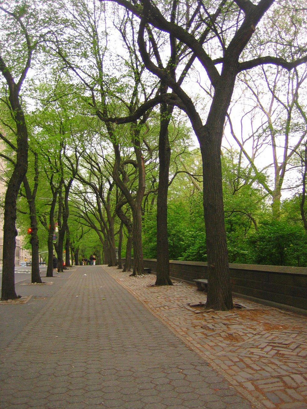 Central Park along Fifth Avenue
