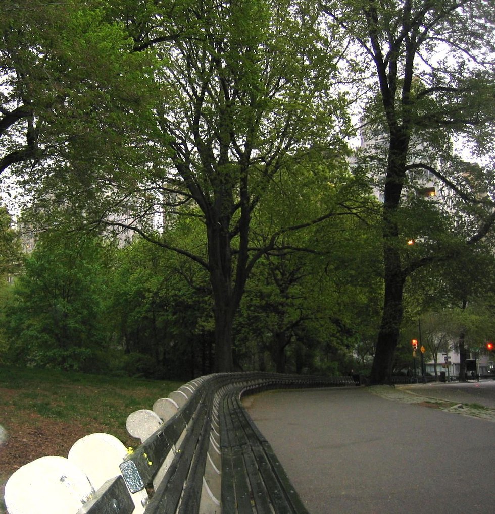 Very Long Bench, Central Park