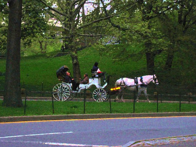 Horse &amp; Buggy in Central Park