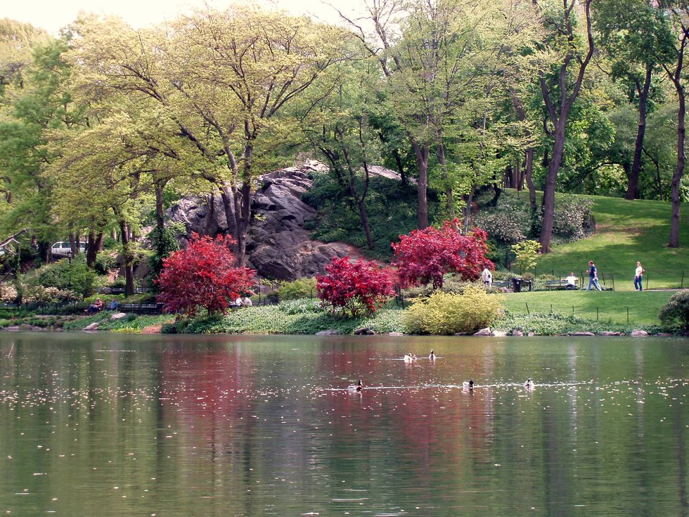 springtime in central park