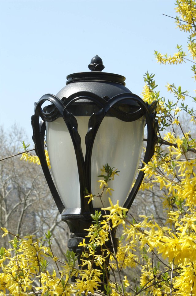 Light post in the spring