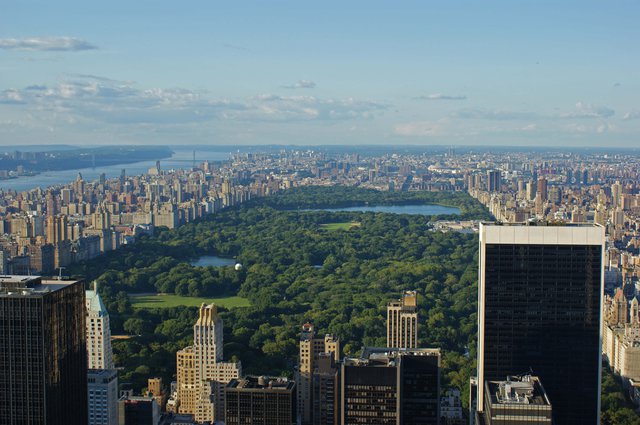 Central park from above