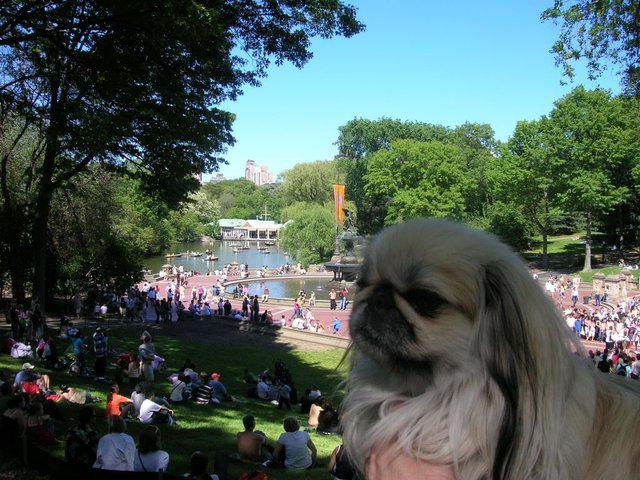 Jenny in Central Park