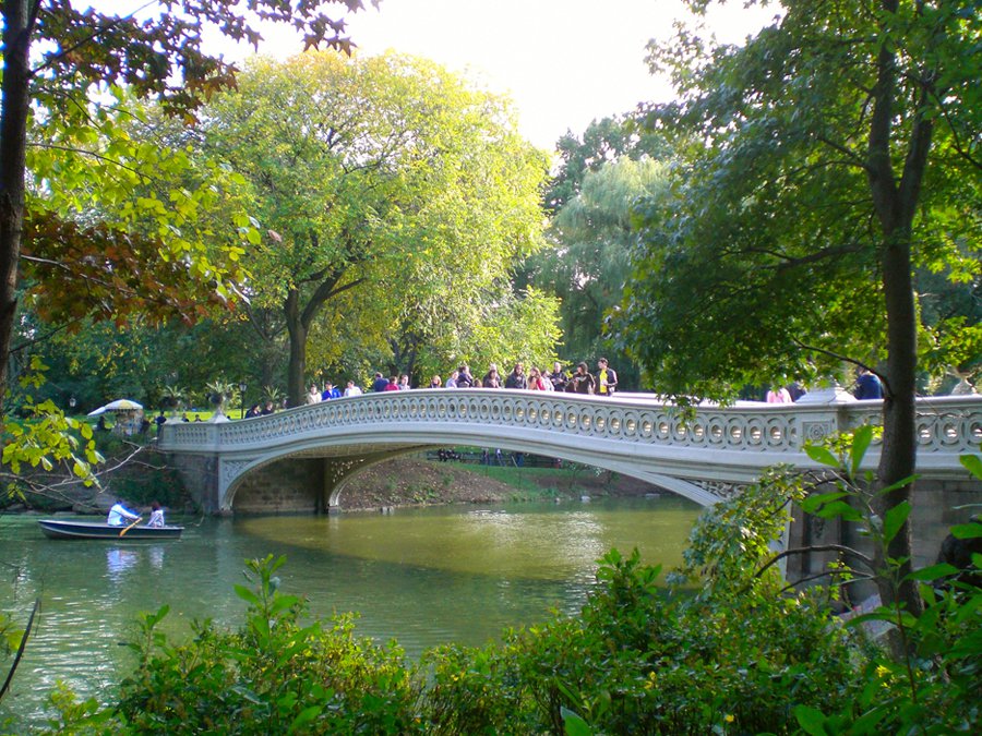 Bow Bridge amidst changing leaves