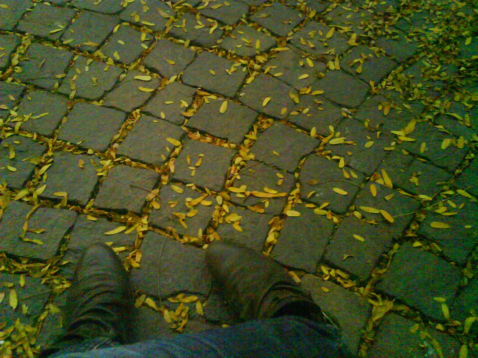 autumn lays at your feet