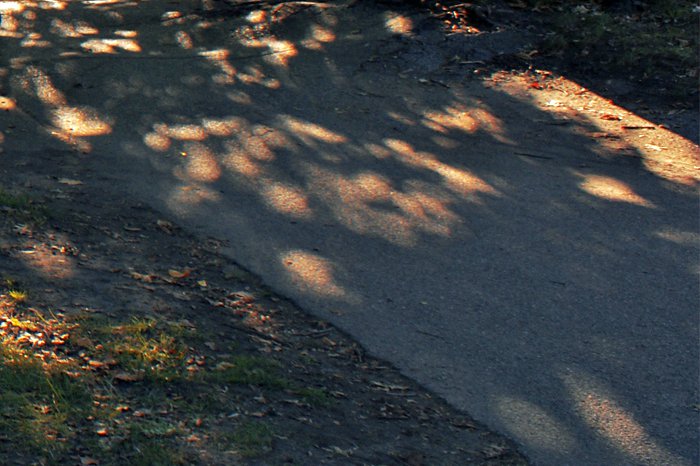 sidewalk shadows