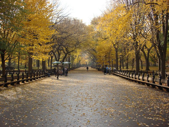 The Mall In Fall