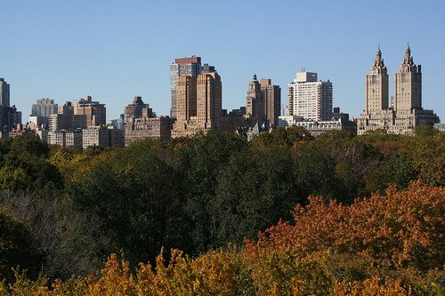 View of Central Park from the rooftop of the Metropolitan Museum 