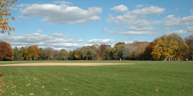 Great Lawn, Late Autumn