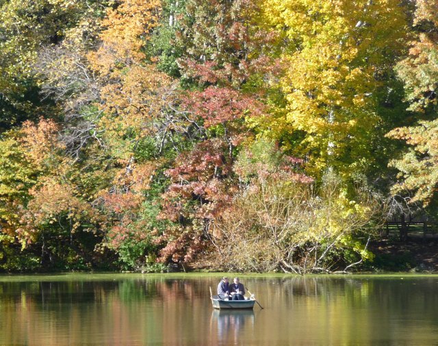 Rowing in the Fall Colours at The Lake
