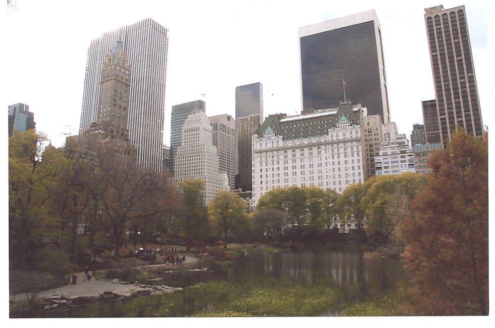 Plaza Hotel &amp; Duck Pond