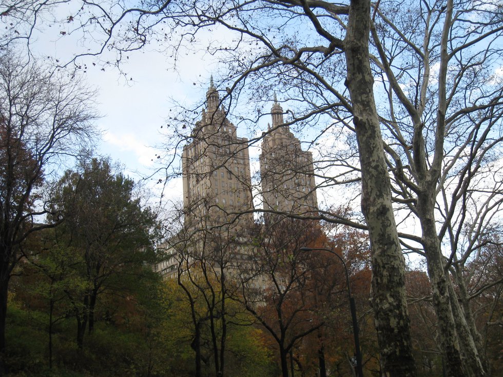 Ghost Buster's buildings from Central Park