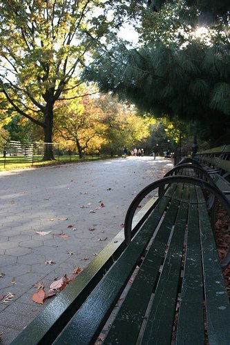 Park Bench - Central Park in October