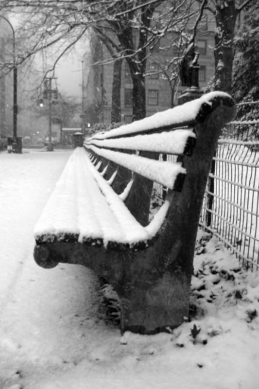 Snow Covered Benches