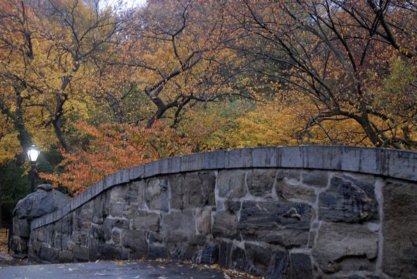 Photo entry: Autumn Colors