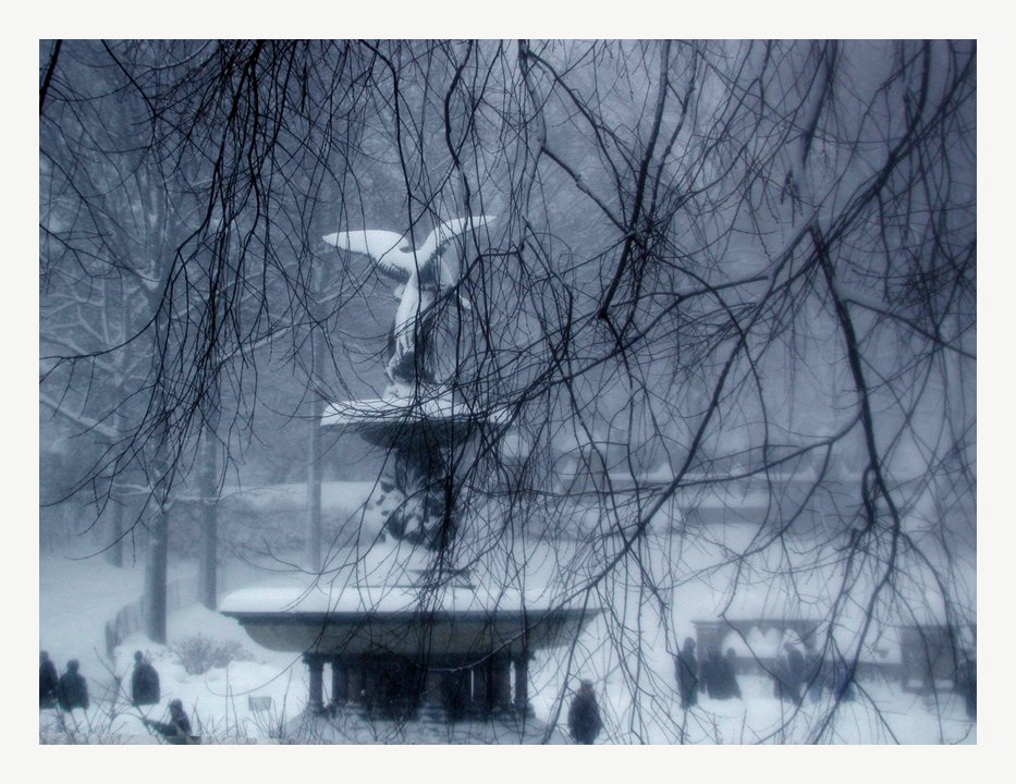 Photo entry: First Snow