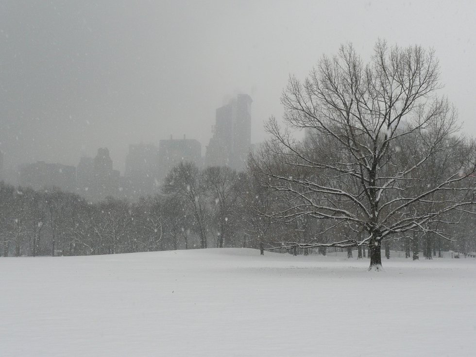Winter In Central Park