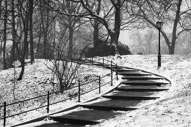 Central Park Steps