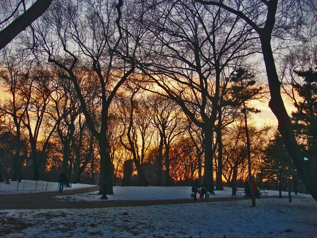 Central Park at Dusk.