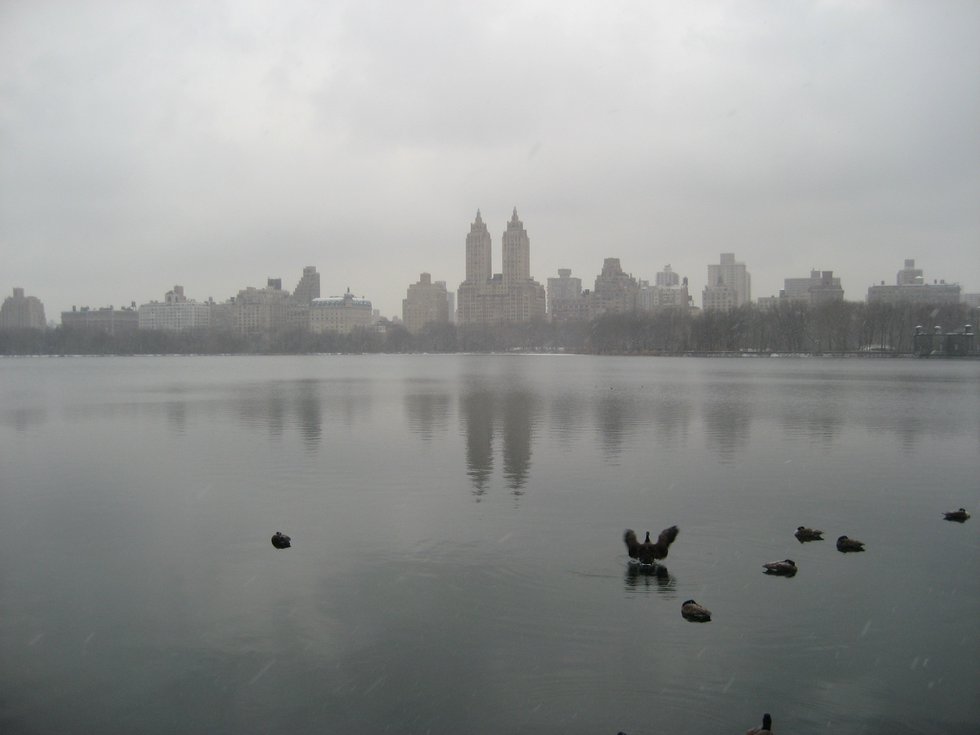 Reflections of Central Park