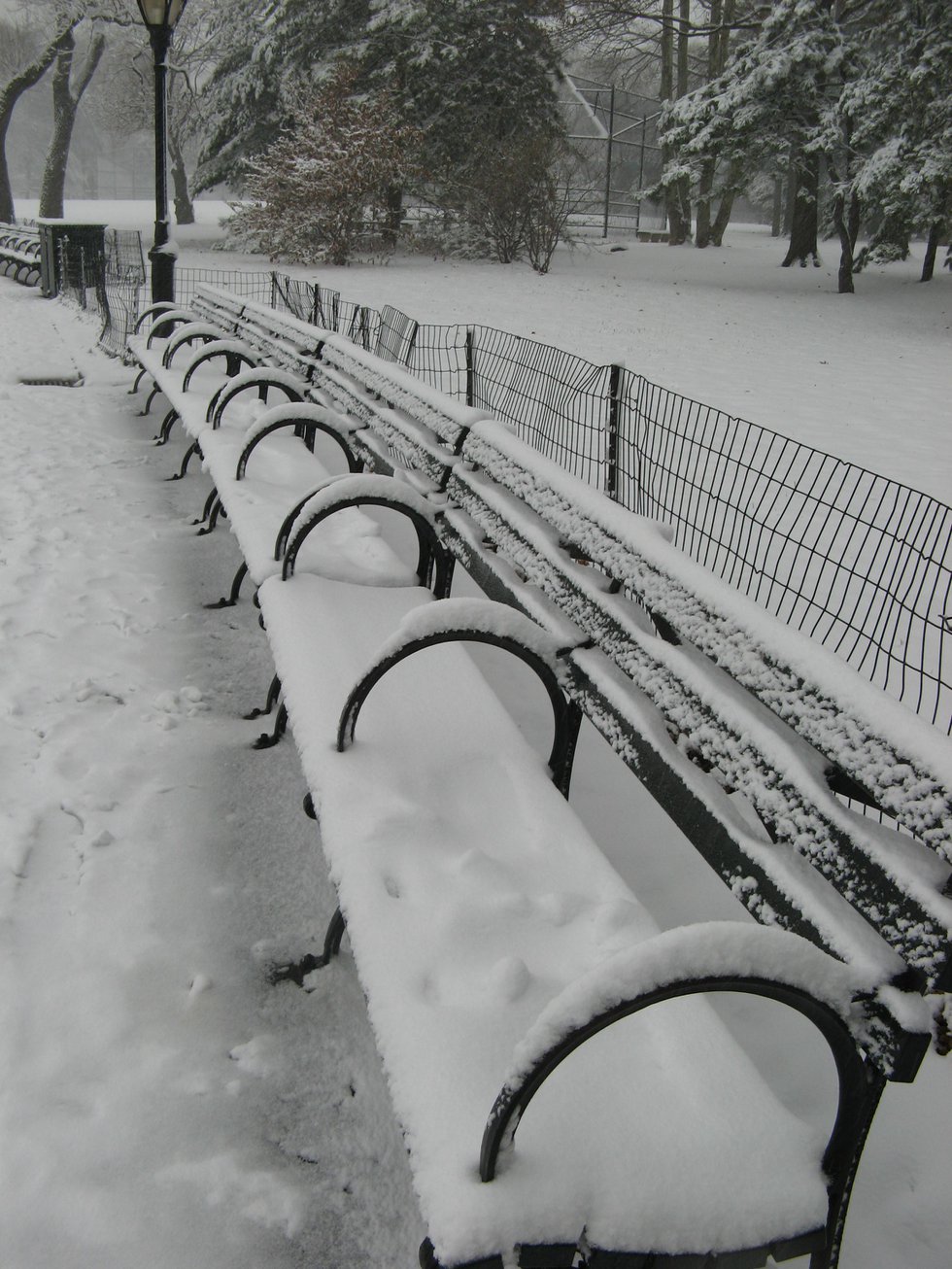 Benches with Snow