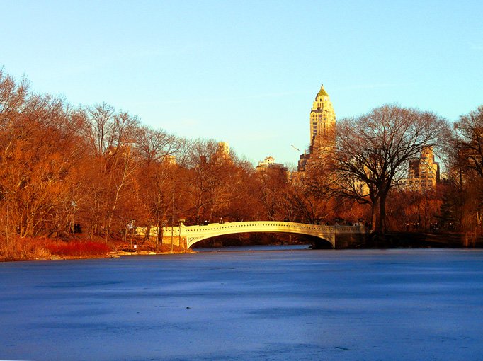 DON'T SKATE WHERE THE ICE IS THIN