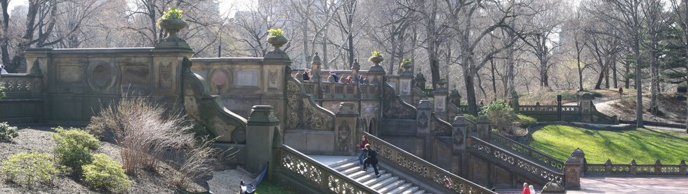 Central Park, without leaves.