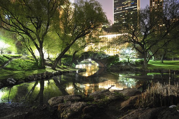 Central Park at Night