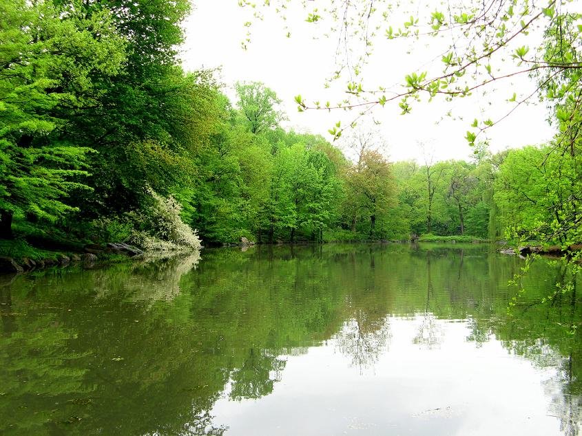 Photo entry: White Reflection 1