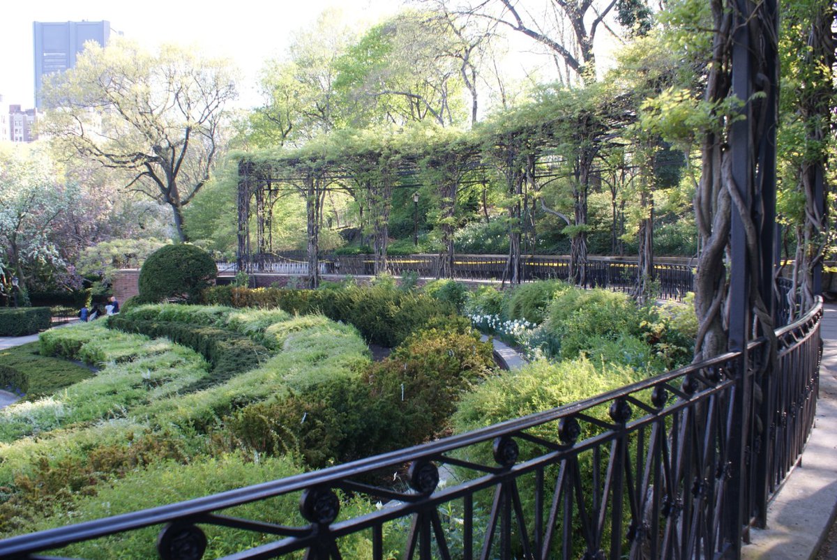 Geest ga sightseeing Krankzinnigheid Wisteria Pergola in Central Park
