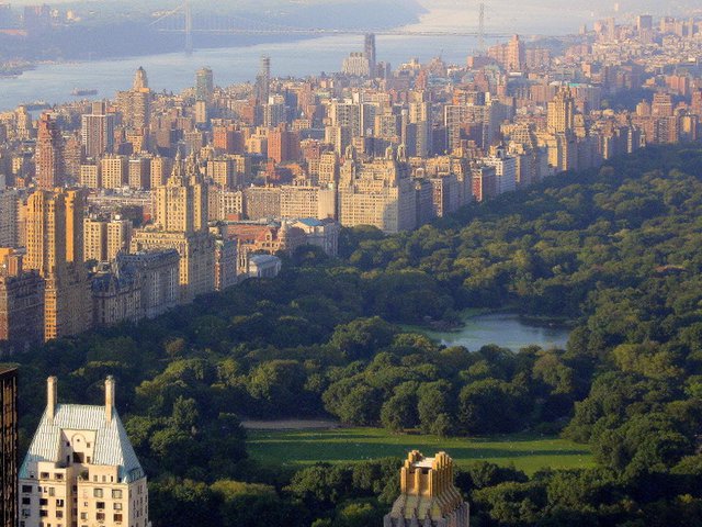 central park arial view 