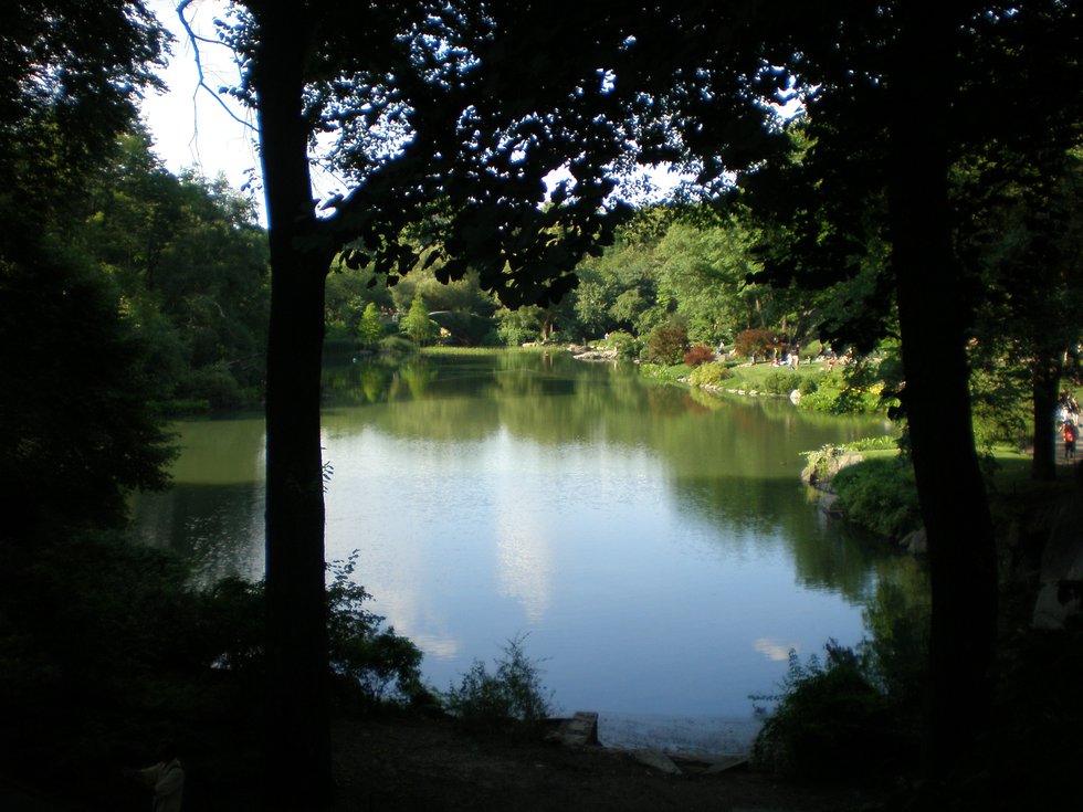 central-park-pond.jpe