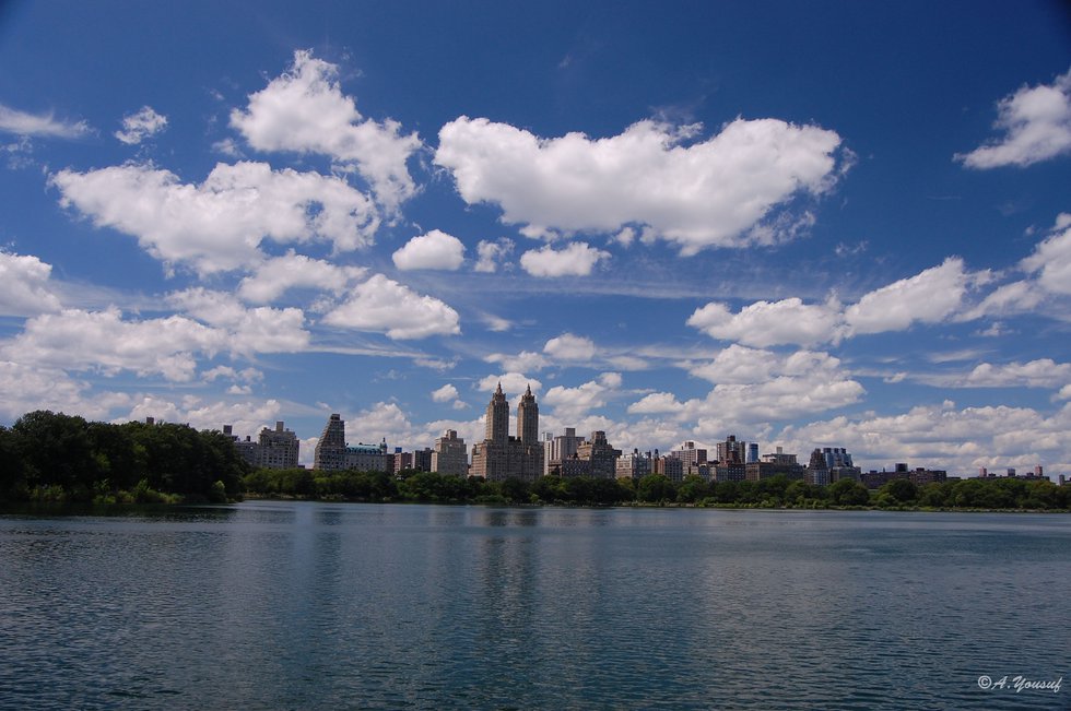 Skyline from Central Park 