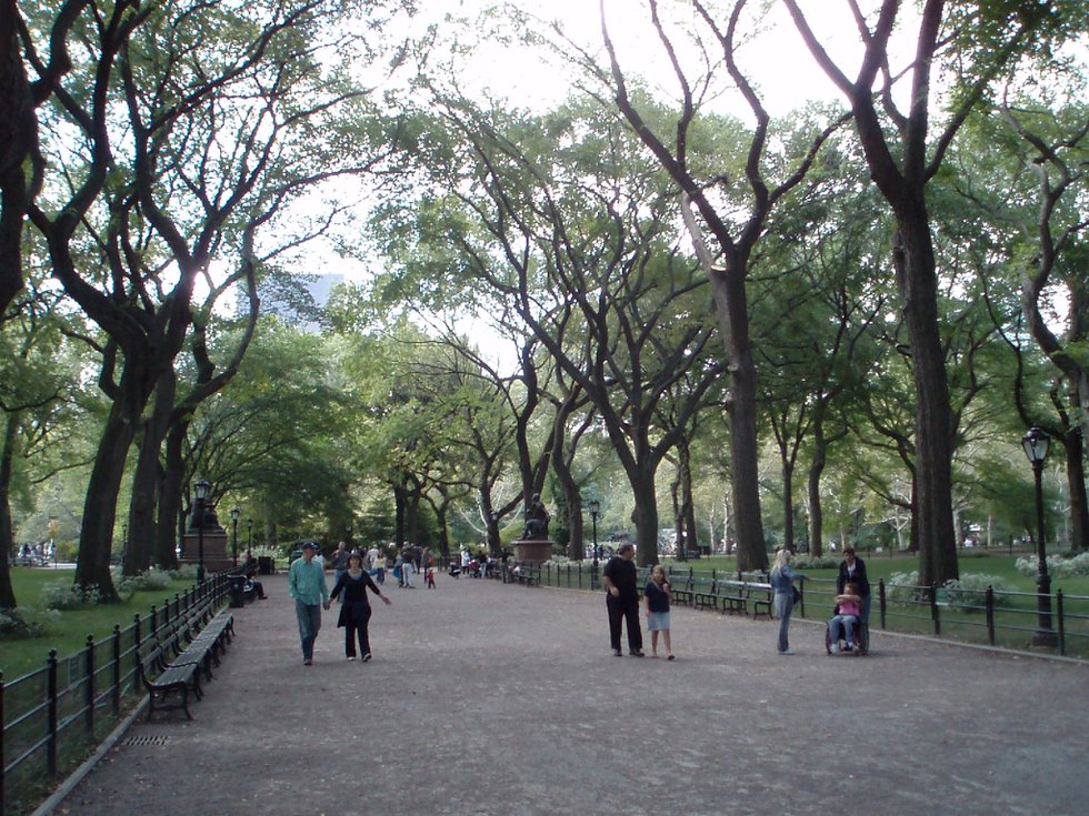 The Mall - Central Park