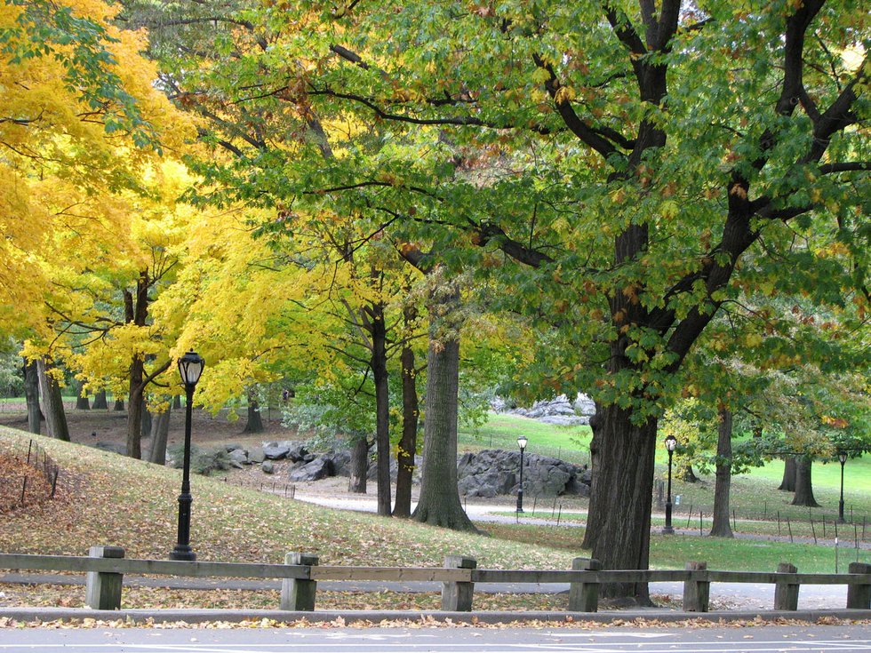 Nice fall stroll through Central Park.