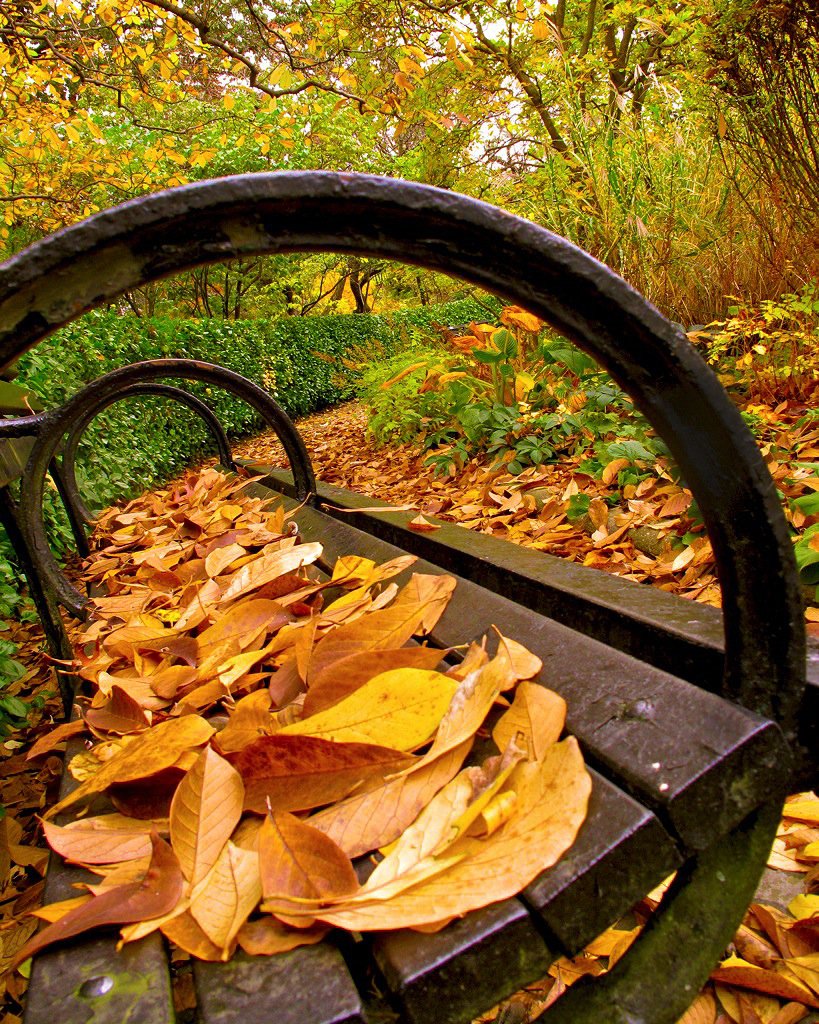 Leafy Benches