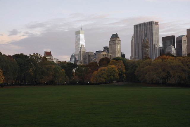Sheep Meadow before sunset
