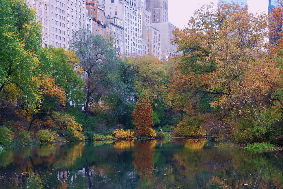 Fall in Central Park 