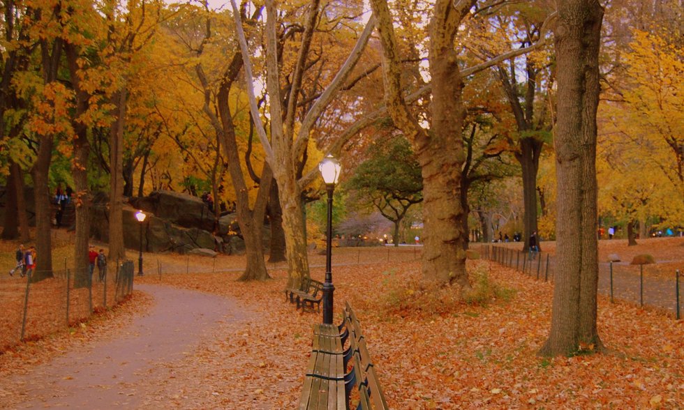 Nature at its best...